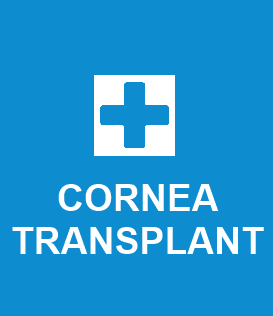 Cornea Transplant